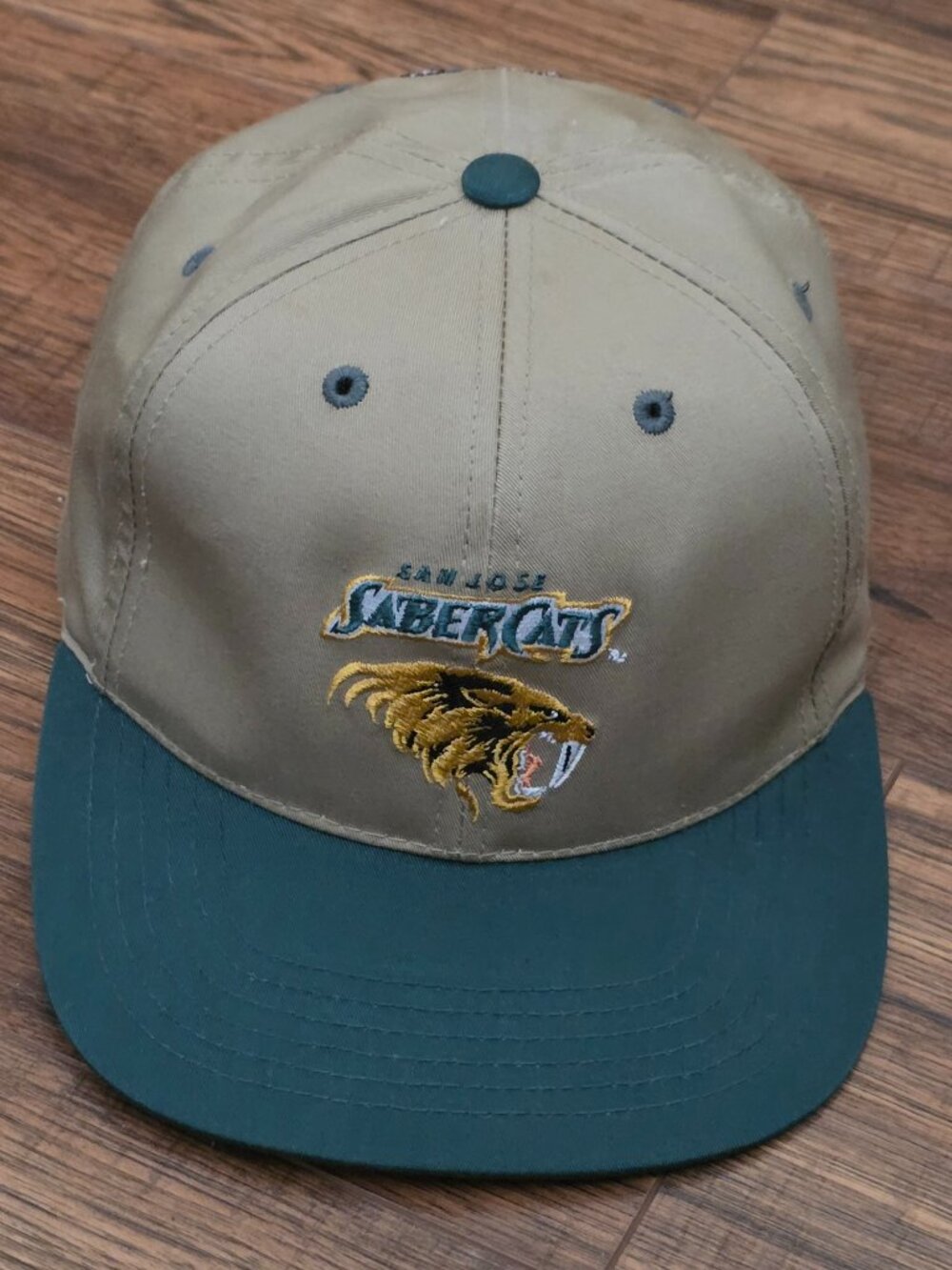 Vintage San Jose SaberCats Football AFL Hat Snapback Cap